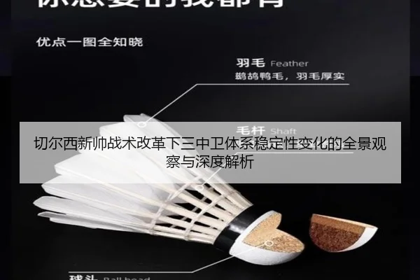 切尔西新帅战术改革下三中卫体系稳定性变化的全景观察与深度解析